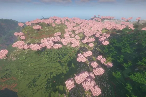 Sakura Season seed with a large cherry grove biome in Minecraft Java